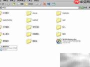 Disk Genius恢复丢失文件