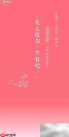 网易云表白翻译机使用指南