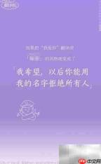 网易云表白翻译机使用指南