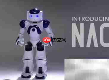 NAO机器人跨平台跨语言方案