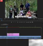 PR制作MV歌词字幕教程