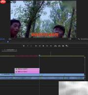 PR制作MV歌词字幕教程