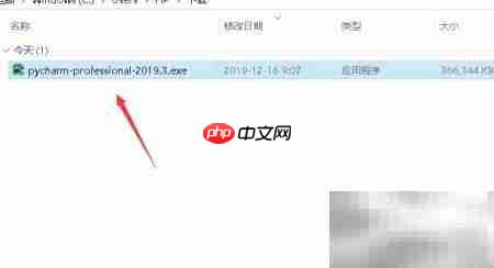 PyCharm专业版下载指南