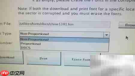 IBM4610打印机刷字库教程