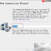 DbVisualizer连接Informix配置