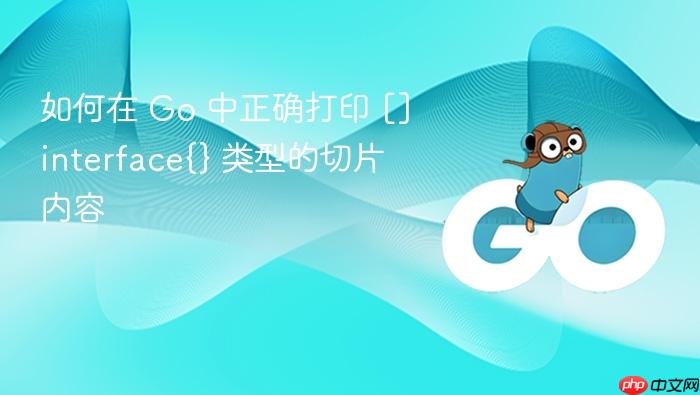 如何在 Go 中正确打印 []interface{} 类型的切片内容
