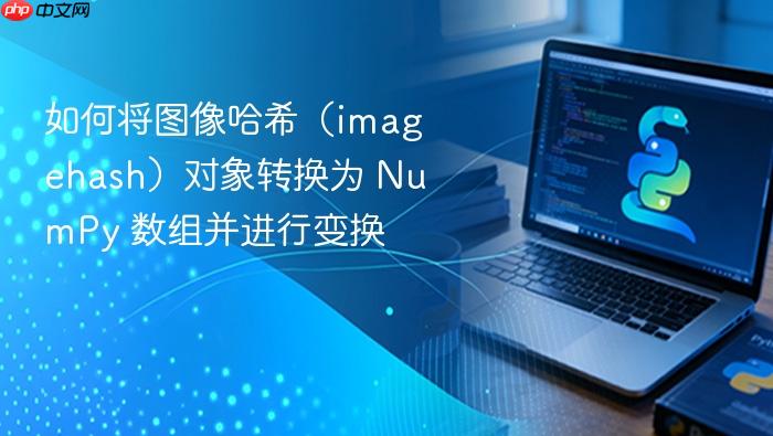 如何将图像哈希(imagehash)对象转换为 NumPy 数组并进行变换