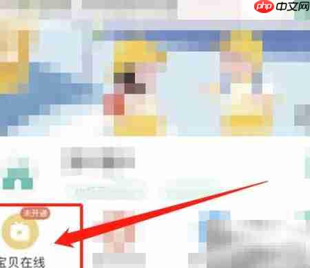 掌心宝贝监控查看方法