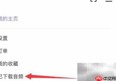 爱发电音频下载设置指南