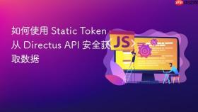 如何使用 Static Token 从 Directus API 安全获取数据