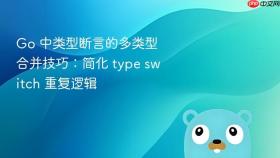 Go 中类型断言的多类型合并技巧：简化 type switch 重复逻辑