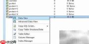 DB Master生成表Excel报表