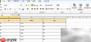 DB Master生成表Excel报表