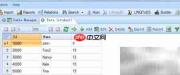 DB Master生成表Excel报表