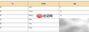 DB Master生成表Excel报表