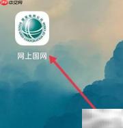 网上国网查企业用电指南