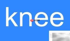 knee英语发音怎么读