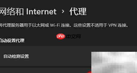 Windows自动检测代理设置