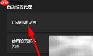 Windows自动检测代理设置