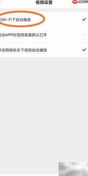 自动播放设置方法