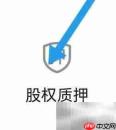 利得证券股权质押查询指南