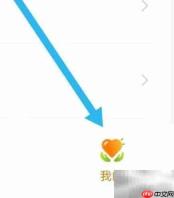 利得证券股权质押查询指南