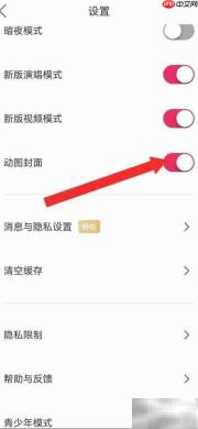 爱唱如何开启系统封面动态