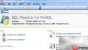 Maestro查看表索引SQL