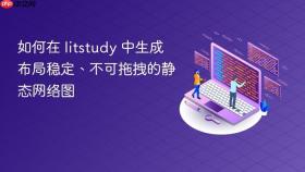 如何在 litstudy 中生成布局稳定、不可拖拽的静态网络图