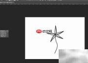 PS快速制作盐桦纹理