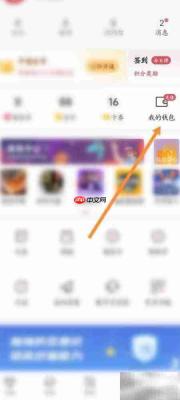雷速体育充值未到账怎么办