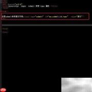 submit中type属性的用法解析
