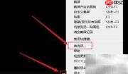 Snipaste托盘图标设置方法