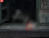 纸嫁衣9罗浮梦算盘怎么过 纸嫁衣9罗浮梦算盘解谜攻略
