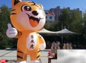 老虎吉祥物代表哪个城市