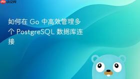 如何在 Go 中高效管理多个 PostgreSQL 数据库连接