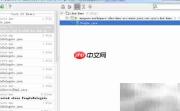 IDEA粘贴与本地历史对比