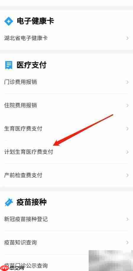 如何申请计划生育医疗费用