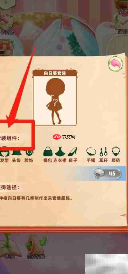 花花姑娘:向日葵套装揭秘