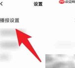 翻译机自动朗读开启方法