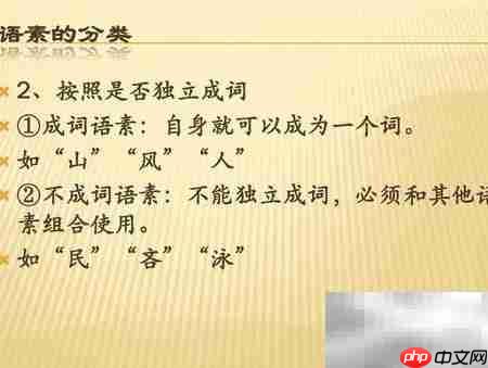 不成词语素解析