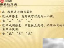 不成词语素解析