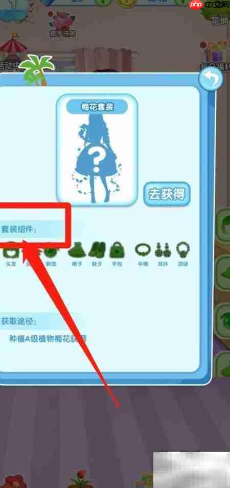 花花仙子：查看梅花套装组件