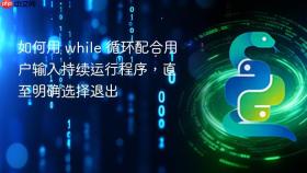 如何用 while 循环配合用户输入持续运行程序,直至明确选择退出