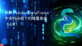 计算 Pandas DataFrame 中多列分组下的增量差值（diff）