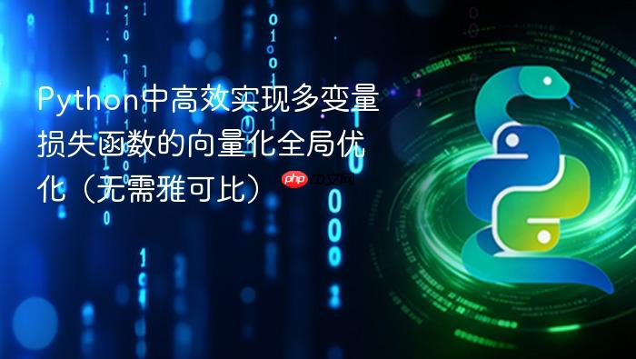 python中高效实现多变量损失函数的向量化全局优化(无需雅可比)