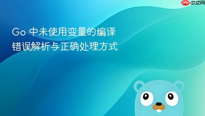 Go 中未使用变量的编译错误解析与正确处理方式