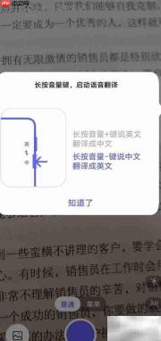 Vivo S6翻译功能体验如何