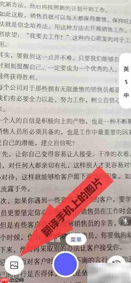 Vivo S6翻译功能体验如何