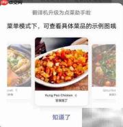 Vivo S6翻译功能体验如何